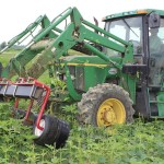 Organic grain is gaining ground organic weed puller
