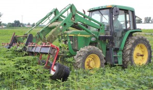 organic weed puller organic weed puller
