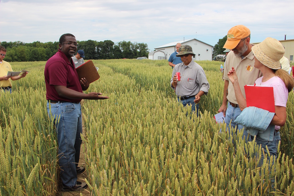 small grains clay sneller