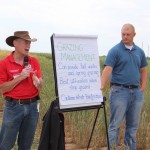Small Grains for forage