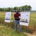 Paul explains wheat diseases