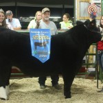 2016 Harrison Grand Steer