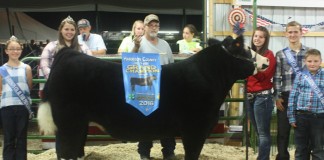 2016 Harrison Grand Steer