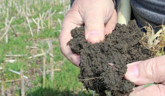 Healthy soil Healthy soil