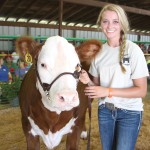 2016 Trumbull County Fair youth livestock sale Trumbull fair livestock sale