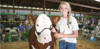 Trumbull fair livestock sale
