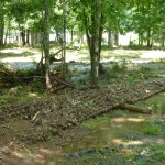 West Virginia Flood3