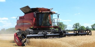 Crop progress and condition all depend on where you live Wheat harvest