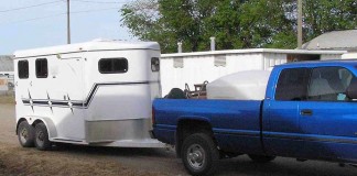 4 tips for transporting livestock bumper pull trailer
