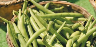 Grandma’s pressure cooker green beans green beans in basket