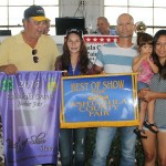 Ashtabula Best of Show steer