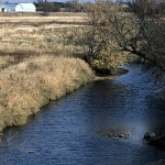 Find out if the CRP could help stabilize income on your farm CRP buffer