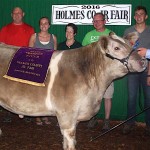 Holmes champion steer