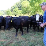 Stepping up: Tuscarawas County farmer answers the call of his industry Applying fly treatment