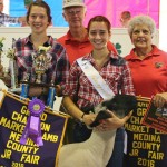 Medina County youth sell junior fair projects for top dollar Medina fair header