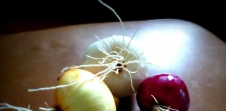 How to store homegrown onions