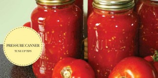 canning tomatoes