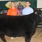 columbiana grand steer