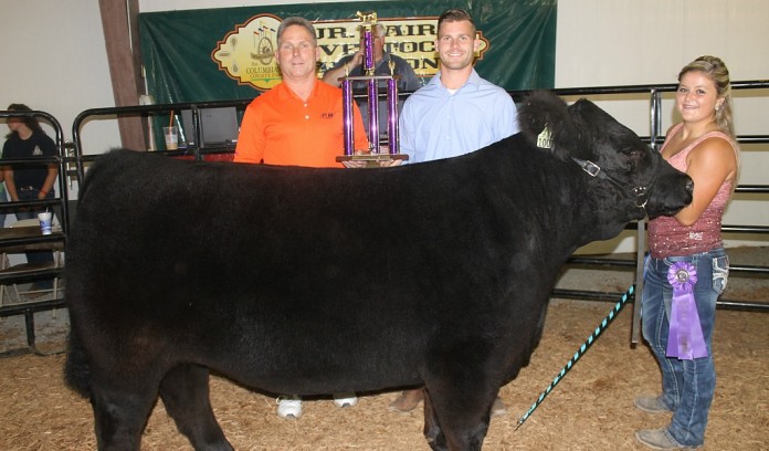 columbiana grand steer