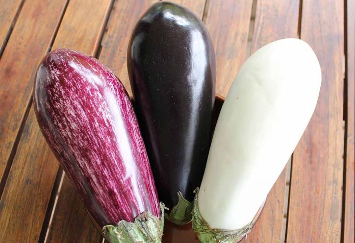 speckled, purple and white eggplant speckled, purple and white eggplant
