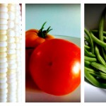 How to freeze garden produce