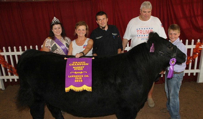 Lawrence County grand champion steer