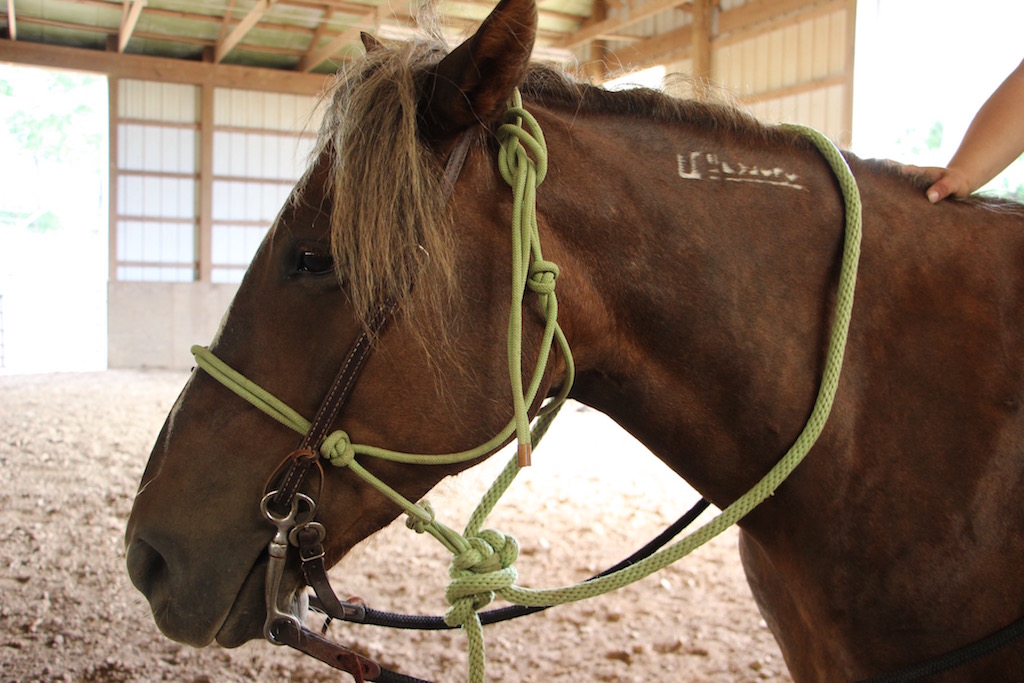 kelsey spencer and annie