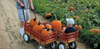Little red wagon is a keeper red wagon