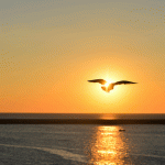 The things I didn’t do for you