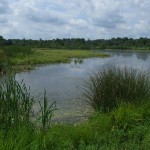 Supreme Court’s recent Clean Water ruling makes everything murkier