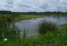 Soil and water conservation districts play big role in H2Ohio