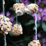 How to make the ultimate pinecone bird feeder Pine cone bird feeder