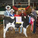 Canfield reserve dairy beef feeder