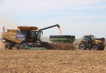 Delayed harvest equals higher prices