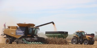 Delayed harvest equals higher prices