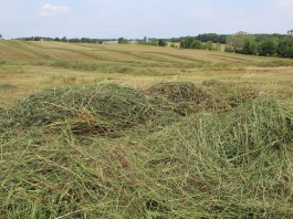 FSR drought forage