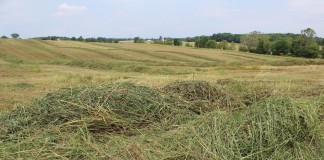 FSR drought forage
