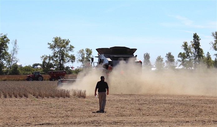 Soybean dust