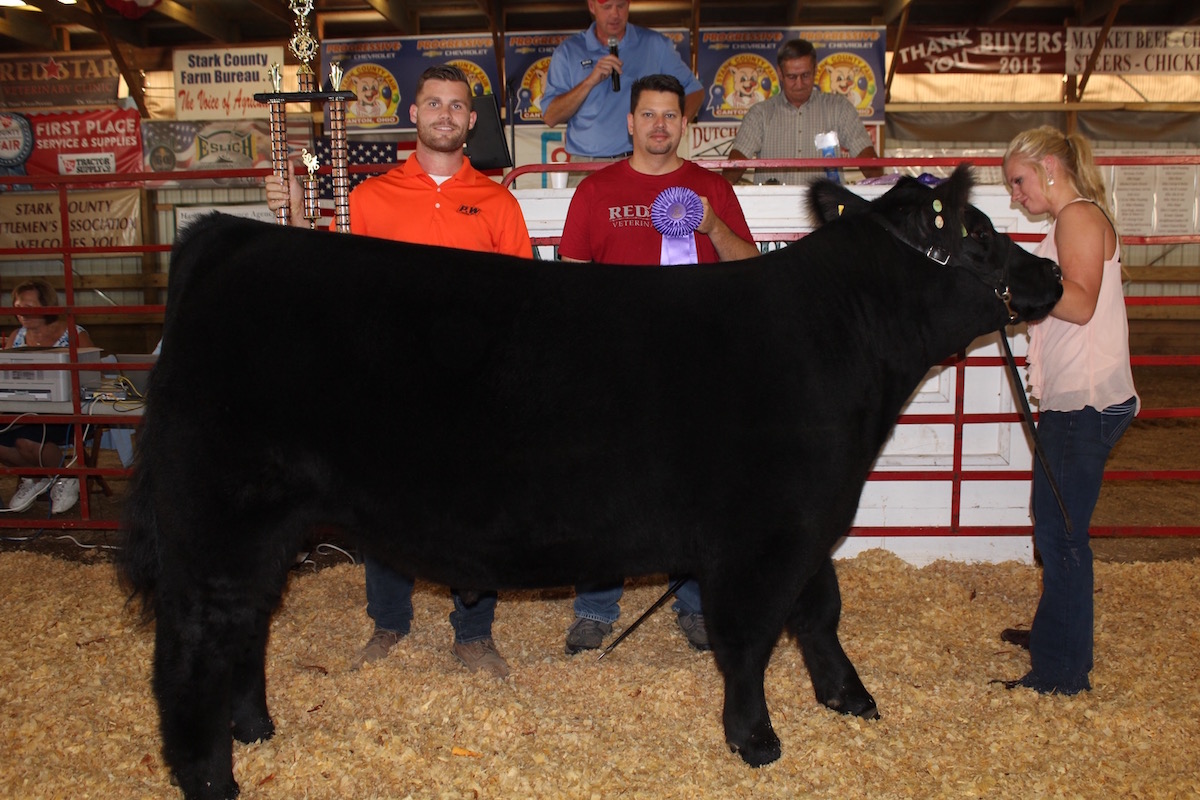 Stark champion cheese