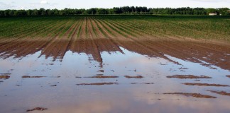 Are you prepared for a disaster?