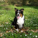 Remembering Miss Murphy