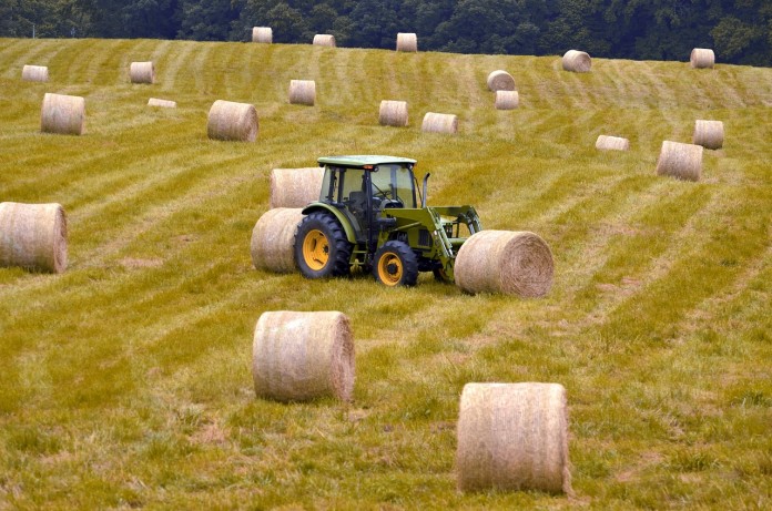 bales-1592620_1280