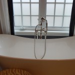 Enemy of the environment