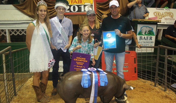 canfield grand champion hog