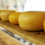 Penn State to offer cheese-making course