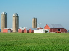 Farm Tragedy by the Numbers (Infographic)