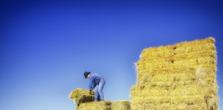 5 general farm labor laws