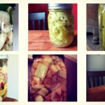 pickle-banner-696×408