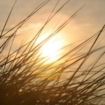 Loss stings a year later sunset