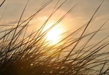 Another good man gone too soon sunset